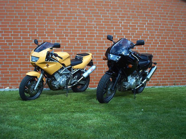 k-Patrick und Detlev TRX 850.JPG