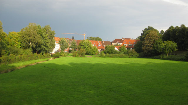 Muenster-1.jpg