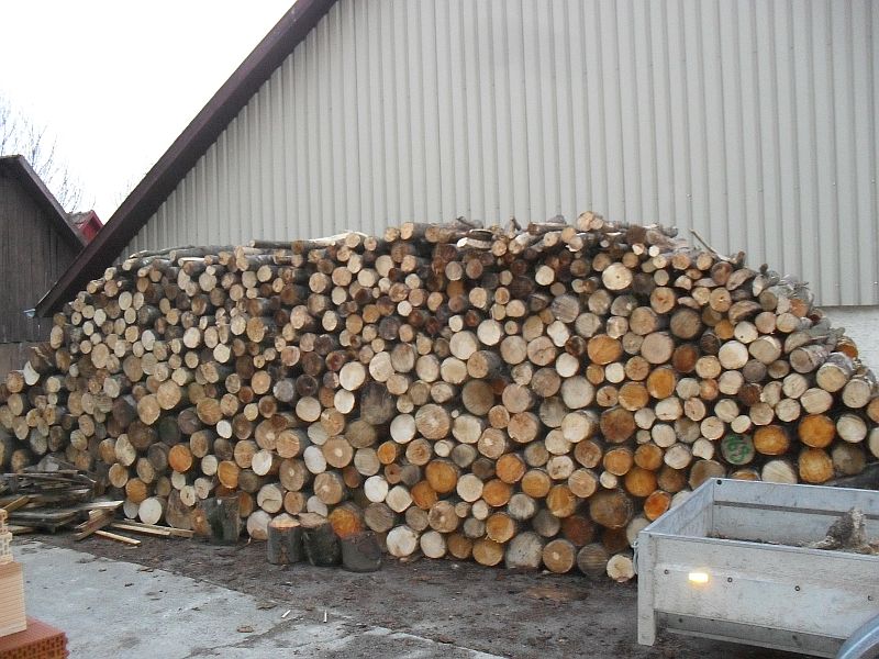 holz3.jpg